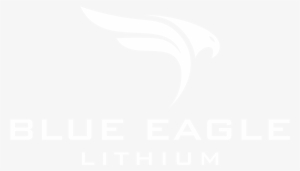 Blue Eagle Lithium Inc - Graphic Design