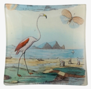 John Derian Company Inc Flamingo - Flamingos And Shells