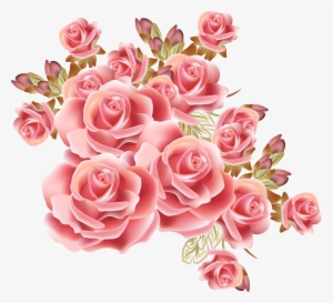 Rose Flower Drawing Stock Photography - Pink Rose Vintage Png