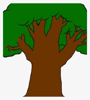 Dogwood Tree Drawing - Drawing Of Tree Without Leaves Transparent PNG -  480x595 - Free Download on NicePNG