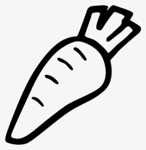 Carrot Hand Drawn Vegetable Vector - Hand Drawn Carrot Png