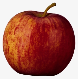 Apple Png Vector - Apple