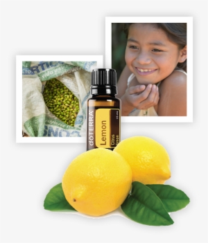 Dōterra Lemon Oil - Doterra Geranium Essential Oil - 15 Ml