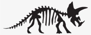 Triceratops Dinosaur Fossil Wall Art Decal - Dinosaur Skeleton Drawing Easy