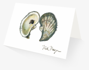 Atlantic Oyster - Eastern Oyster