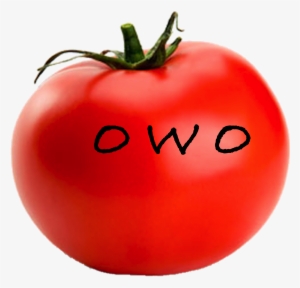 Owo Tomato - Single Fruits And Vegetables