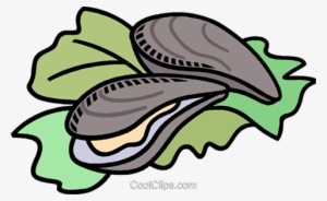 oysters royalty free vector clip art illustration vc009497 - oysters with transparent background