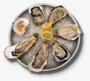 gulf shores bars, oyster bar, bar on the beach, bars - oyster bar