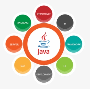 Java Web Development - Bpo Process