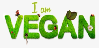 Vegan Psd Healthy Setting Way Of Life Nutr - Am Vegan
