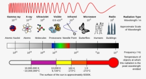 The Electromagnetic Spectrum, Tiny Wavelengths On The - Electromagnetic Spectrum Left To Right