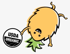 Organic - Organic Essential Oil By Us Organic - Organic Lavender