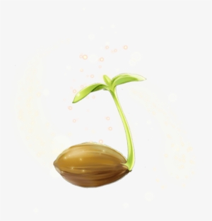 mysterious sprout transparent - sprout transparent