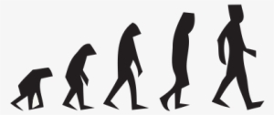 Evolution Of An Internet Marketer - Evolution In Biology