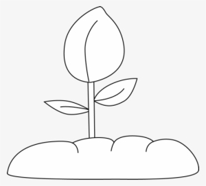 Plant Clipart Plant Sprout - Sprout Clipart Png Black And White