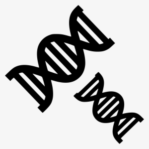 Dna Strands Chemistry Biology Evolution Genetics Comments - Dna