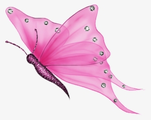 Pink Transparent Butterfly Gif