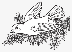 This Free Icons Png Design Of Coloring Book Willow