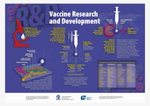 Vaccine Experts Recommend Practical Actions To Support - Journey Of A Vaccine Development