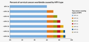 Hpv Graph - Human Papillomavirus Infection