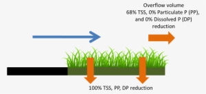 Schematic Showing Pollutant Load Reduction For Infiltrated - Grass
