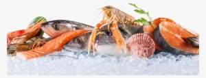 Seafood Images Png
