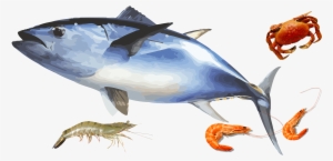 Products From Across The Oceans
