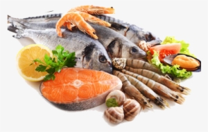 Fish & Seafood - Seafood