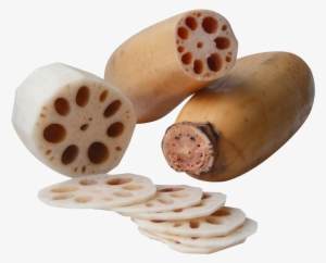 Lotus Root Png