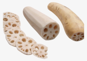Lotus Root Png Image - Portable Network Graphics