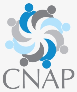 Cnap Logo - Canada Flag Souvenir Pillow Case