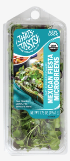 Mas Flavor For Your Meal - Mexican Fiesta Microgreens