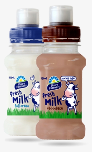 Dairy Products - Yogurt Dairy Milk Products