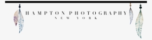 Hampton Photography Feather Logo - Spoonbill