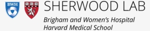 Sherwood Laboratory - Brigham And Women's Hospital