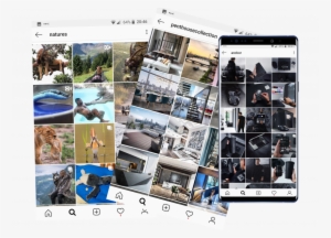 Instagram-feeds