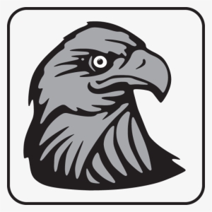 Eagle's Head - Bald Eagle Symbol Shower Curtain
