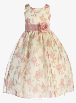 Vintage Rose Pink Floral Print Organza Overlay Girls - Dress
