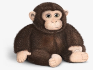 Michigan's Department Of Human Services Will Be Fined - Monkey Icon