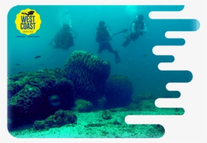 Scuba Diver Certification - Scuba Dive At Murudeshwar