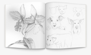 Png Elaine Gruenke In This Area I Show - Drawing