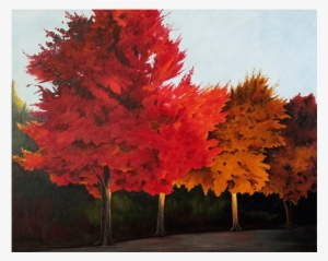 Story By Lauren Schatz - Oklahoma