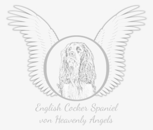 Clipart Black And White Download English Cocker Spaniel - English Cocker Spaniel