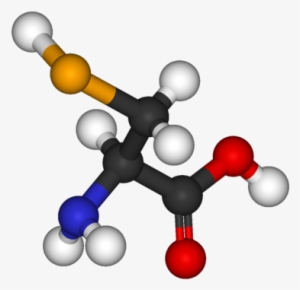 Selenocysteine 3d Balls - Selenocysteine
