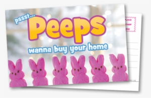 Ic Postcard Peeps - Rabbit