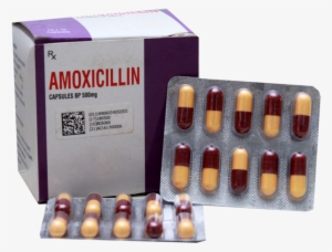 Amoxicillin Capsules Bp 250/500mg - احسن مضاد حيوي للحلق
