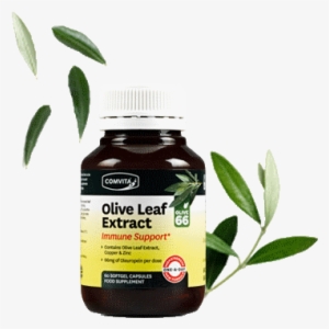 Immune Support Olive Leaf Extract 60 Capsules - Comvita Olive Leaf 15 Capsules