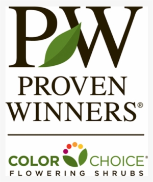 proven winners® colorchoice® shrubs - proven winners color choice logo