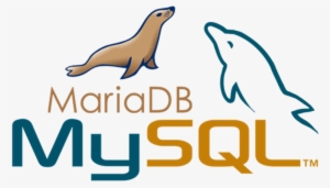 Today - Mysql Mariadb