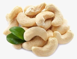 Raw Cashew Nut Extract - Cashew Kernel
